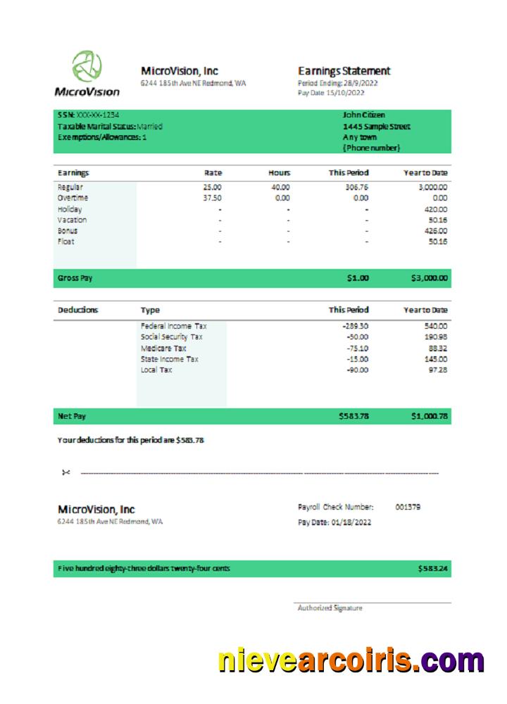 USA MicroVision informational company pay stub